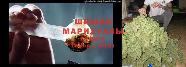 стаф Вяземский