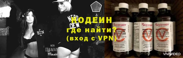 стаф Вяземский