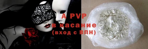 стаф Вяземский