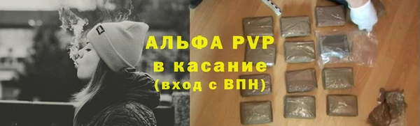 стаф Вяземский