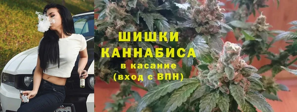 стаф Вяземский