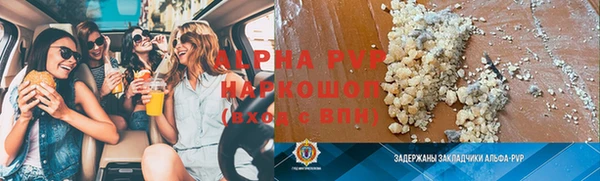 стаф Вяземский