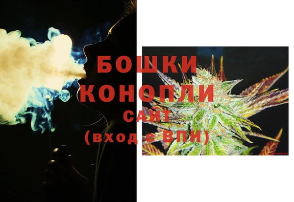 стаф Вяземский