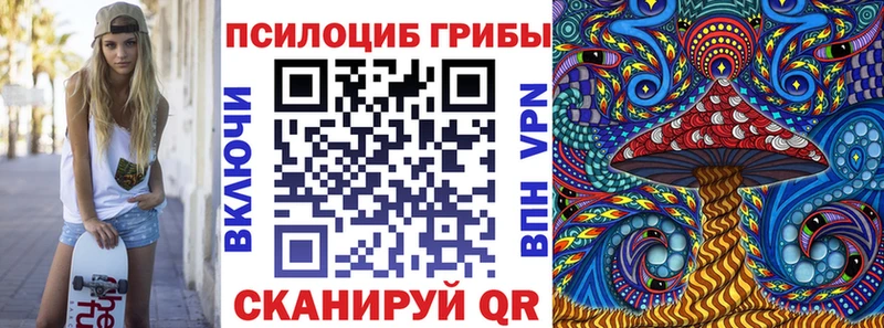 OMG онион  Махачкала  Галлюциногенные грибы Psilocybine cubensis 